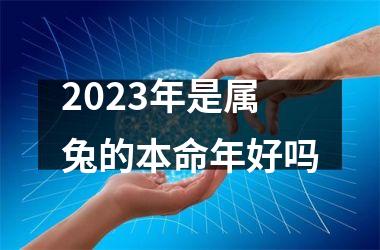 2023年是属兔的本命年好吗