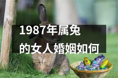 1987年属兔的女人婚姻如何