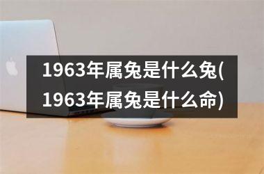1963年属兔是什么兔(1963年属兔是什么命)