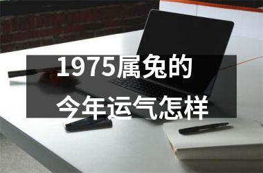 1975属兔的今年运气怎样