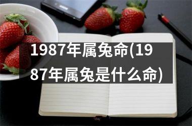 1987年属兔命(1987年属兔是什么命)