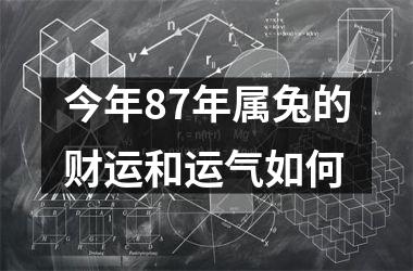 今年87年属兔的财运和运气如何