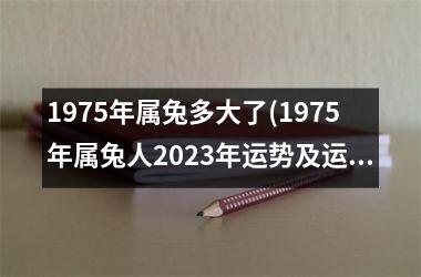 1975年属兔多大了(1975年属兔人2025年运势及运程)