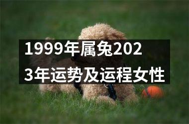 1999年属兔2023年运势及运程女性