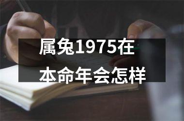 属兔1975在本命年会怎样