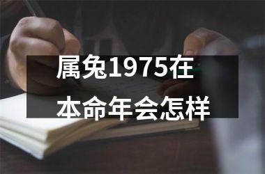 属兔1975在本命年会怎样