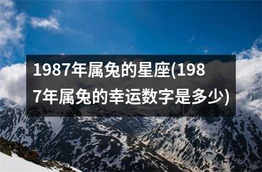 1987年属兔的星座(1987年属兔的幸运数字是多少)