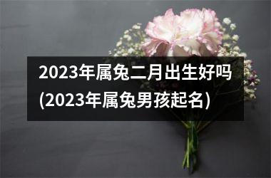 2023年属兔二月出生好吗(2023年属兔男孩起名)