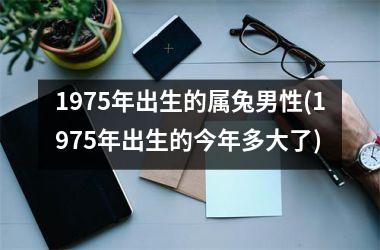 1975年出生的属兔男性(1975年出生的今年多大了)