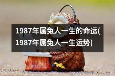 <h3>1987年属兔人一生的命运(1987年属兔人一生运势)