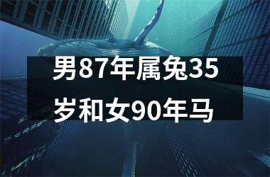 男87年属兔35岁和女90年马