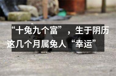 “十兔九个富”，生于阴历这几个月属兔人“幸运”