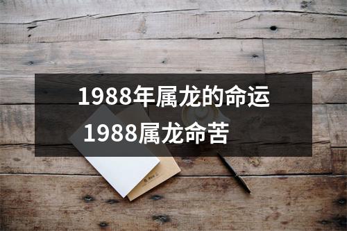 <h3>1988年属龙的命运1988属龙命苦