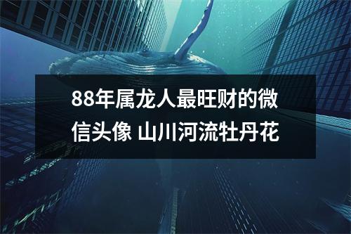 <h3>88年属龙人旺财的微信头像山川河流牡丹花