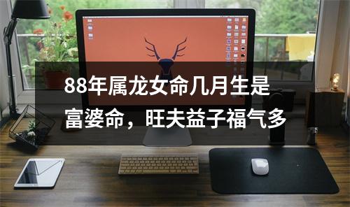 <h3>88年属龙女命几月生是富婆命，旺夫益子福气多