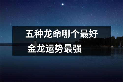 五种龙命哪个好金龙运势强