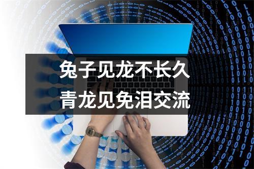 兔子见龙不长久青龙见免泪交流
