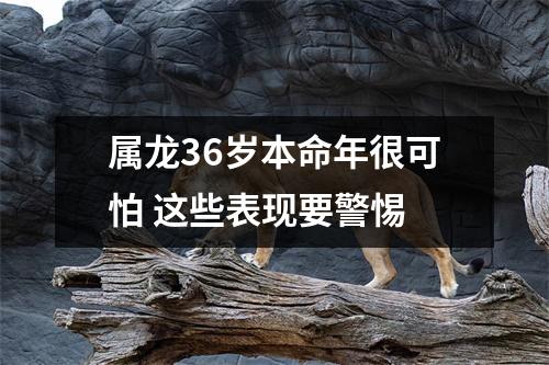 <h3>属龙36岁本命年很可怕这些表现要警惕