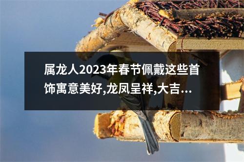 属龙人2025年春节佩戴这些首饰寓意美好,龙凤呈祥,大吉大利!