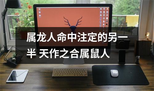 <h3>属龙人命中注定的另一半天作之合属鼠人