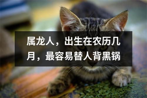 属龙人，出生在农历几月，容易替人背黑锅