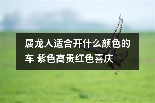属龙人适合开什么颜色的车紫色高贵红色喜庆