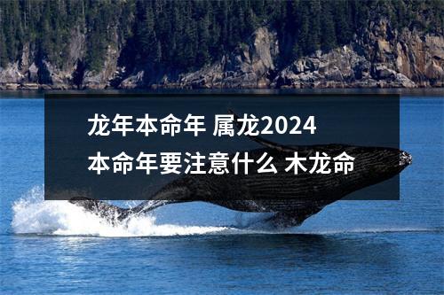 龙年本命年属龙2024本命年要注意什么木龙命