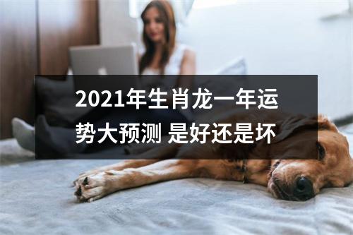 2025年生肖龙一年运势大预测是好还是坏
