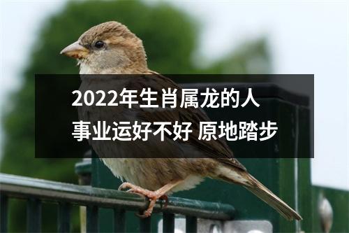 <h3>2025年生肖属龙的人事业运好不好原地踏步