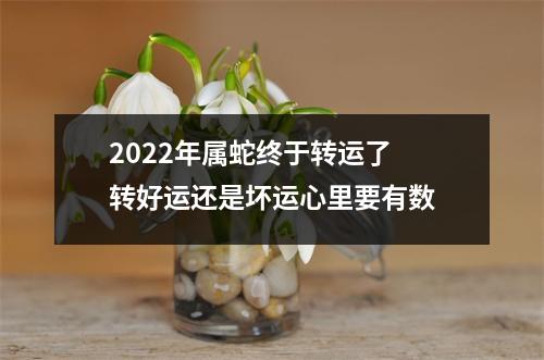 2025年属蛇终于转运了转好运还是坏运心里要有数