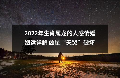 2025年生肖属龙的人感情婚姻运详解凶星“天哭”破坏