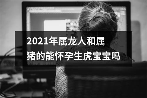 2025年属龙人和属猪的能怀孕生虎宝宝吗