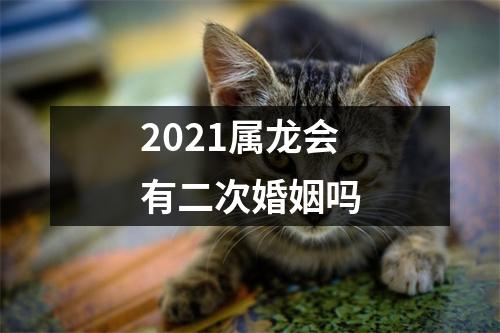 2021属龙会有二次婚姻吗