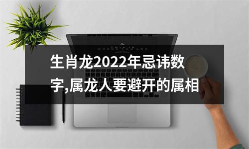 生肖龙2025年忌讳数字,属龙人要避开的属相