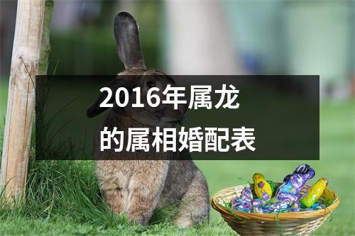 2016年属龙的属相婚配表