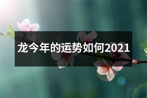 龙今年的运势如何2021