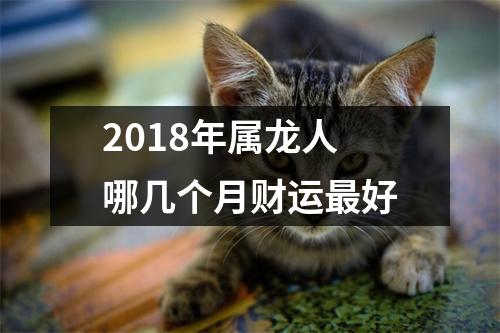 2018年属龙人哪几个月财运好