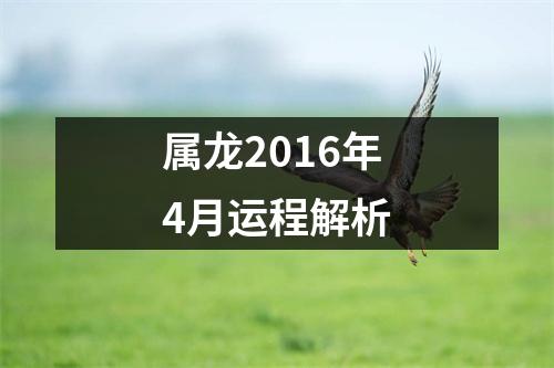 属龙2016年4月运程解析