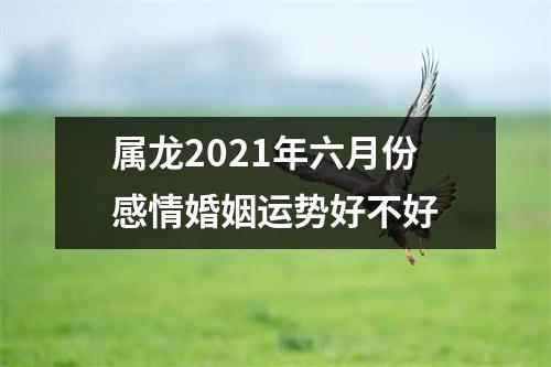 属龙2021年六月份感情婚姻运势好不好