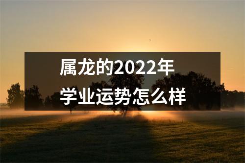 <h3>属龙的2025年学业运势怎么样