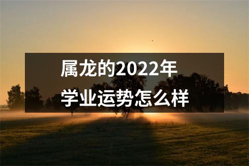 属龙的2022年学业运势怎么样