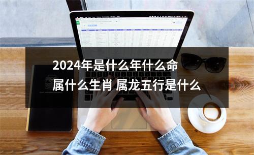 <h3>2024年是什么年什么命属什么生肖属龙五行是什么