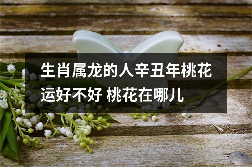 生肖属龙的人辛丑年桃花运好不好桃花在哪儿