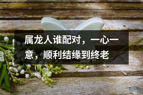 属龙人谁配对，一心一意，顺利结缘到终老