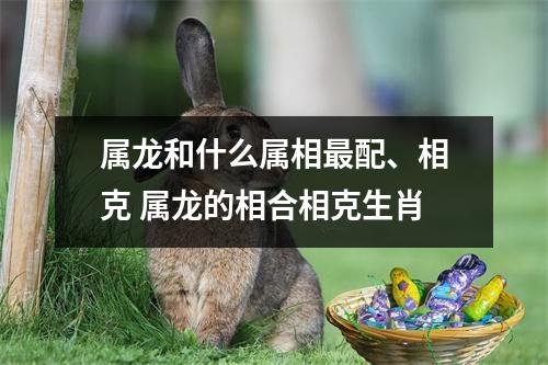 属龙和什么属相配、相克属龙的相合相克生肖