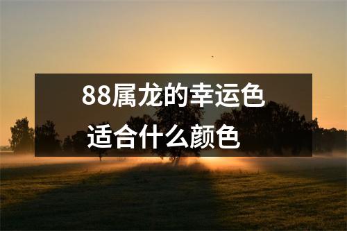 88属龙的幸运色适合什么颜色