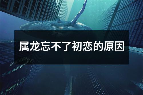 属龙忘不了初恋的原因