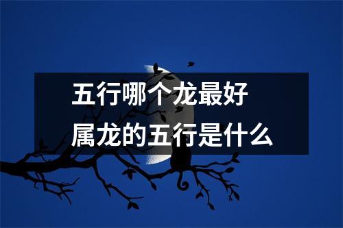五行哪个龙好属龙的五行是什么
