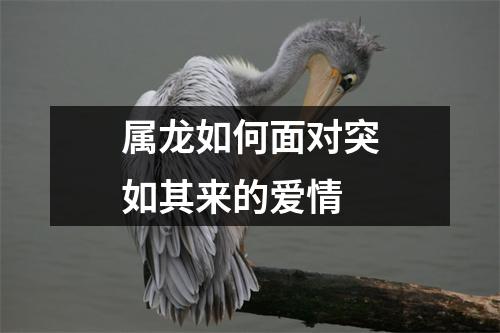 属龙如何面对突如其来的爱情