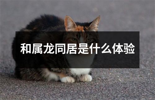 和属龙同居是什么体验